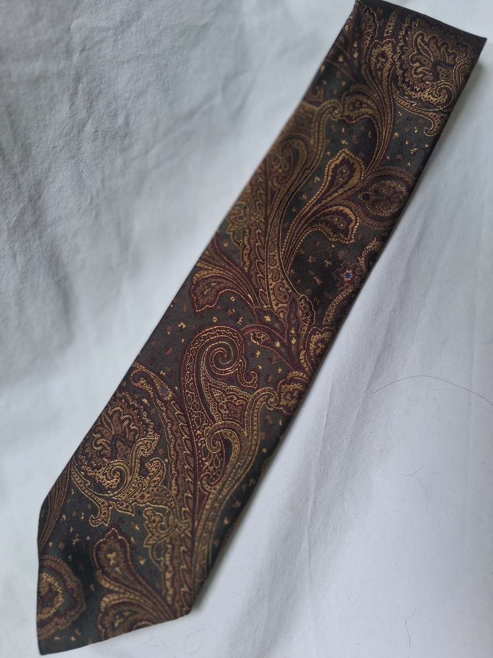 Roundtree & Yorke Men's Paisley Silk Tie in Brown and Gold